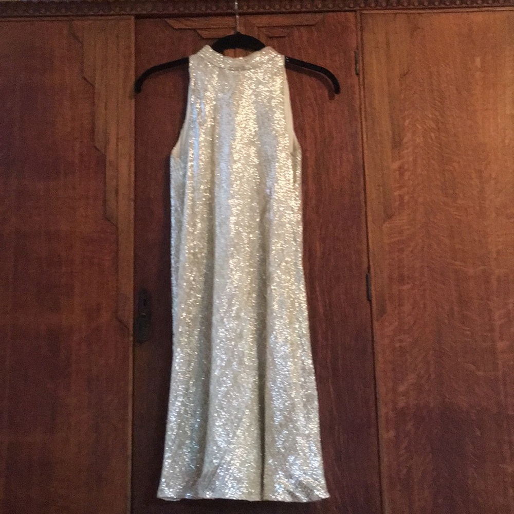 Sandra Sage silver vintage dress